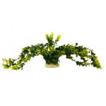 ΔΙΑΚΟΣΜΗΤΙΚΟ ΦΥΤΟ ΕΝΥΔΡΕΙΟΥ 34Χ8CM